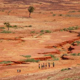 Le journal du 22 juillet 2026 - Climat au Sahel et prévention sanitaire