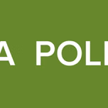INDIA  POLITICS