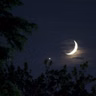 Night Moods Vol.11