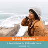 A Year in Review for Wild Awake Hearts