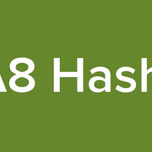 A8 Hashi