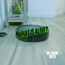 What Actually Makes Something Alive?  with Melanie Challenger