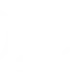 OASIS STEREO