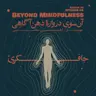 Episode 05 - Beyond Mindfulness (آن سوی دروازهٔ ذهن‌آگاهی)