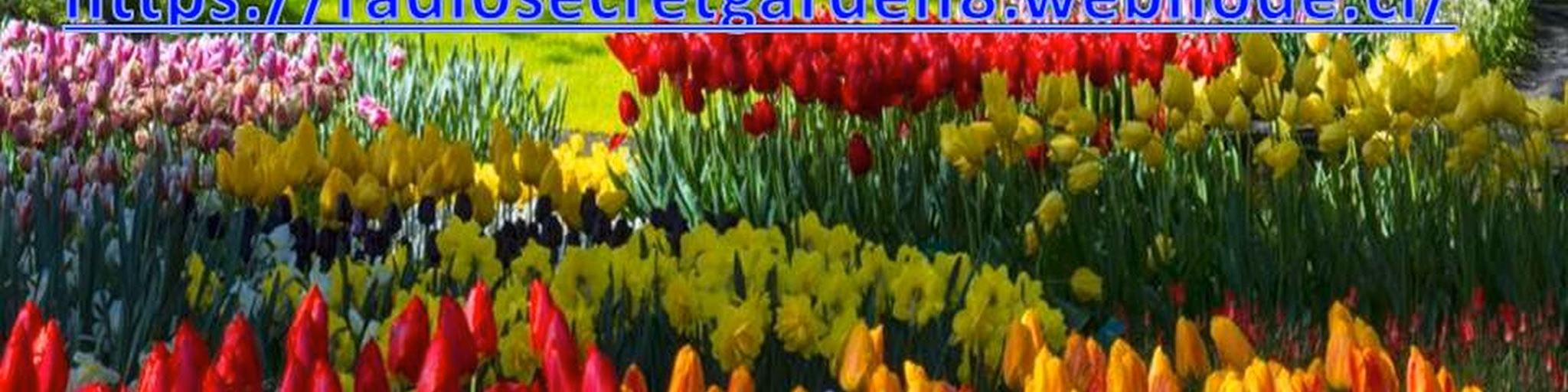 Radio_SecretGarden