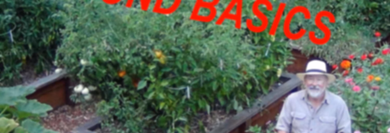 Beyond the Garden Basics