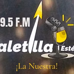 Paletilla Estereo