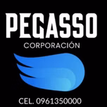 PEGASSO CORP