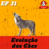 Evolução dos Cães | Netos de Darwin - EP 31