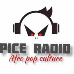 PICE RADIO