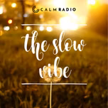 THE SLOW VIBE