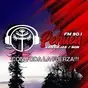 FM 90.1 Pehuen