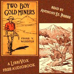 Two Boy Gold Miners (Or, Lost in the Mountains)