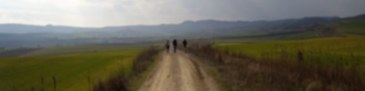 The Last American Vagabond
