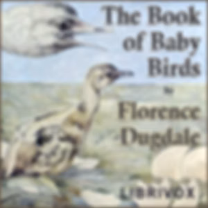 Book of Baby Birds, The by Florence Dugdale (1879 - 1937)