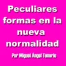 E13 - PECULIARES FORMAS EN LA NUEVA NORMALIDAD