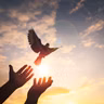 An Oncologist’s Journey Out of Scientific Atheism