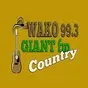 Giant FM - W257DW