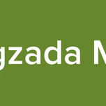 Nogzada MTA