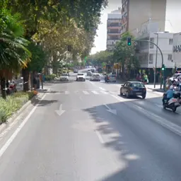 Crónicas de San Pedro Alcántara - T01-P29