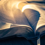 LET THE BIBLE SPEAKS 7 DAY