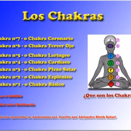 Los Chakras