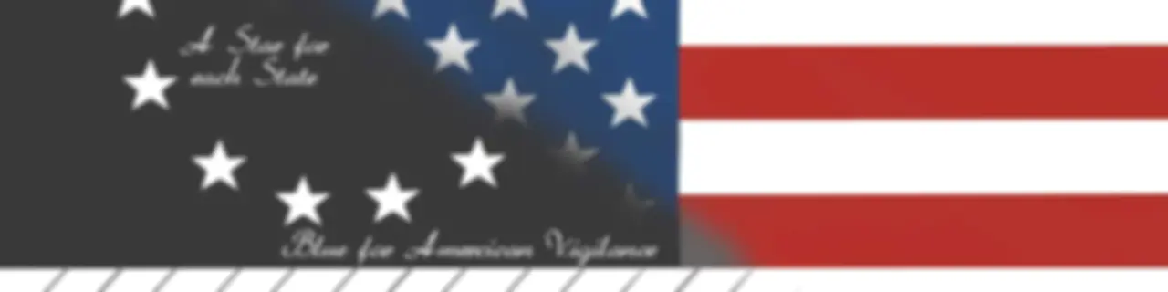 American Political History