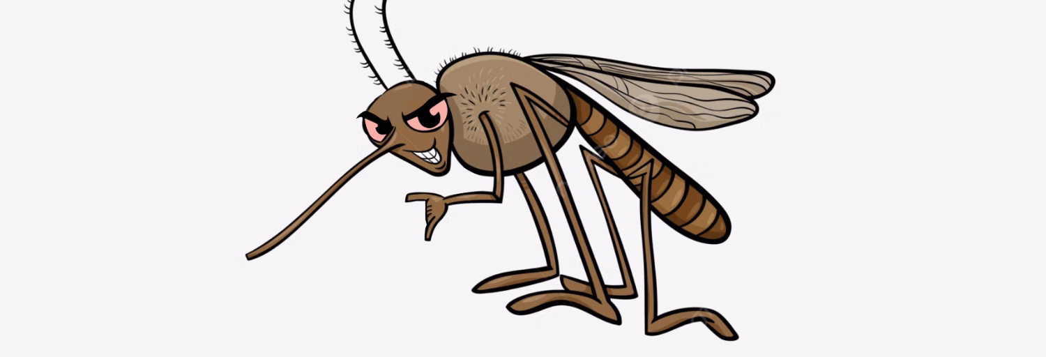 RADIO DENGUE