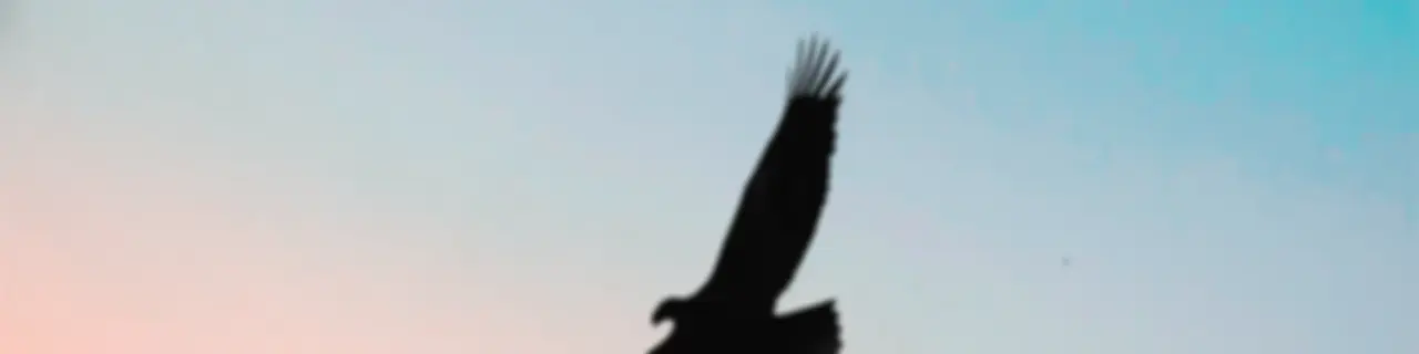 Arknida Podcast Tutorials