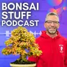 Season 8 Episode 26 - Before Repotting Planning, Post Repotting Scenario