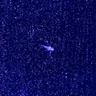 Sea Monkeys, Jupiter, and the Mystery of Turbulence