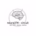 neuralFM - Circuit