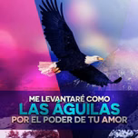 PHES siempre va con vos.