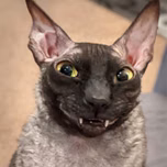 Ha-ha-ha-he-he-he
