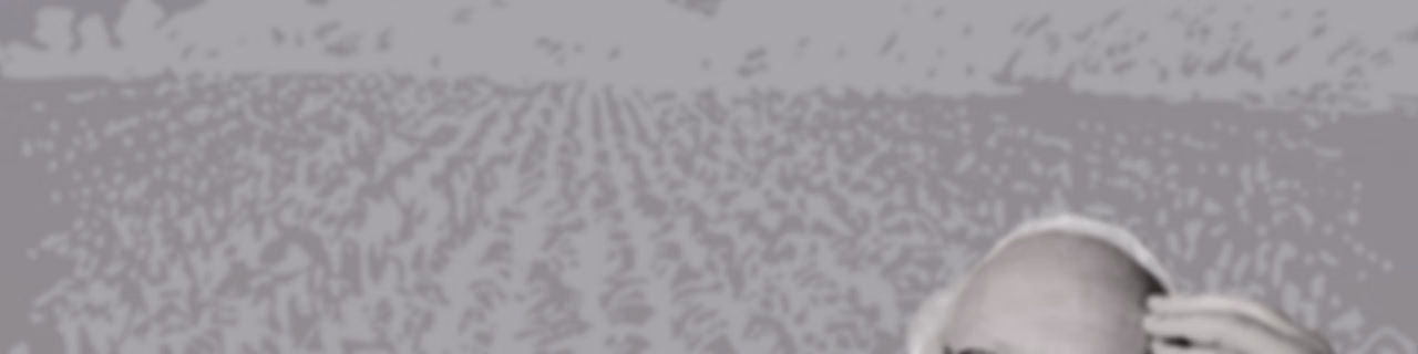 The Kosher Terroir