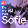 Het syndroom van Noah
