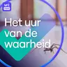 Misvattingen over sekswerk. En mag je een spin buiten zetten?