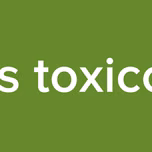 Sonidos toxicos chile
