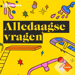 Alledaagse Vragen