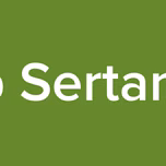 Top Sertanejo