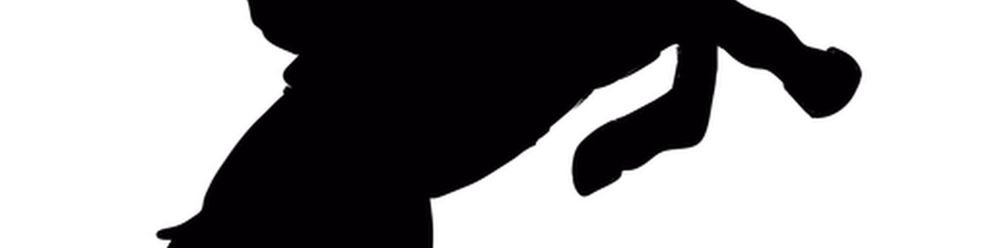 SERTANEJA FM