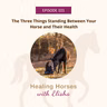 101: The Three Things Standing Between Your Horse and Their Health