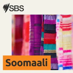 Somalia News: Warka Soomaaliya Arbaco 5 August 2026