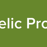 Pyschedelic Progressive