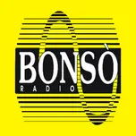 BONSO Radio