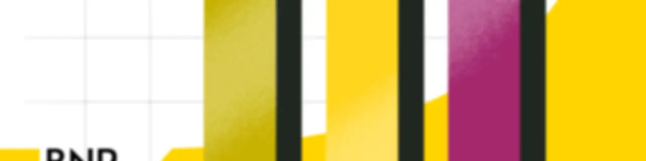 BNR Beleggerspanel | BNR