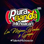 Pura Banda Michoacan