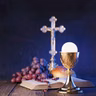 Sunday Daily TV Mass Sunday September 13, 2026
