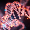 Junk DNA Speaks