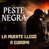 La Peste Negra: así llegó la muerte a Europa - Ep.1 (Peste Negra - La gran Mortandad)